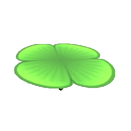 Giant Lily Pad