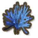 Blue Staghorn Coral