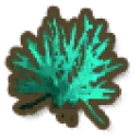 Green Stagehorn Coral