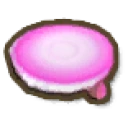 Pink Table Coral Fragment