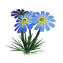 River Daisy