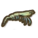 Fresh Water Prawn