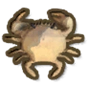 Inland Crab