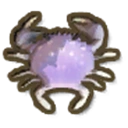 Purple Mottled Crab