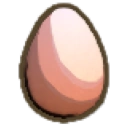 Fertilised Chicken Egg
