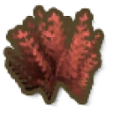 Red Seaweed